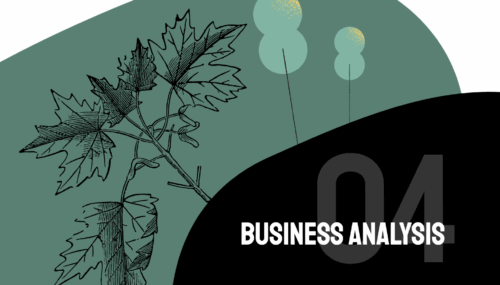 6 Key Benefits of Business Analysis for Software Development…